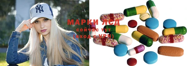 прущие грибы Алексеевка