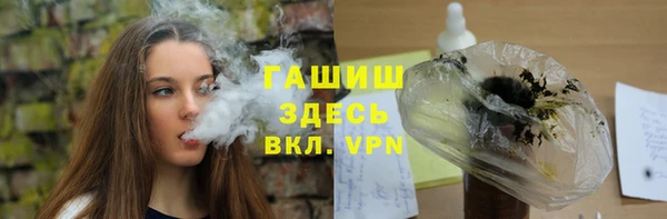 индика Алзамай