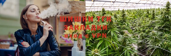 индика Алзамай