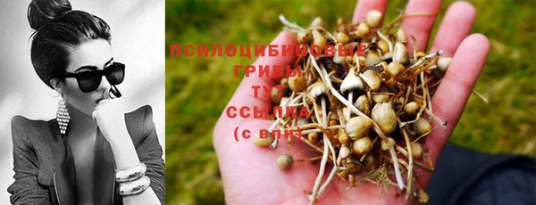 прущие грибы Алексеевка