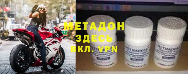 индика Алзамай